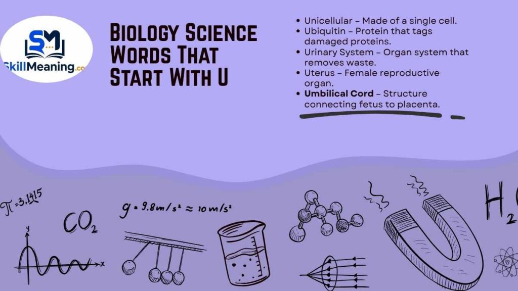 Biology Science Words That Start With U