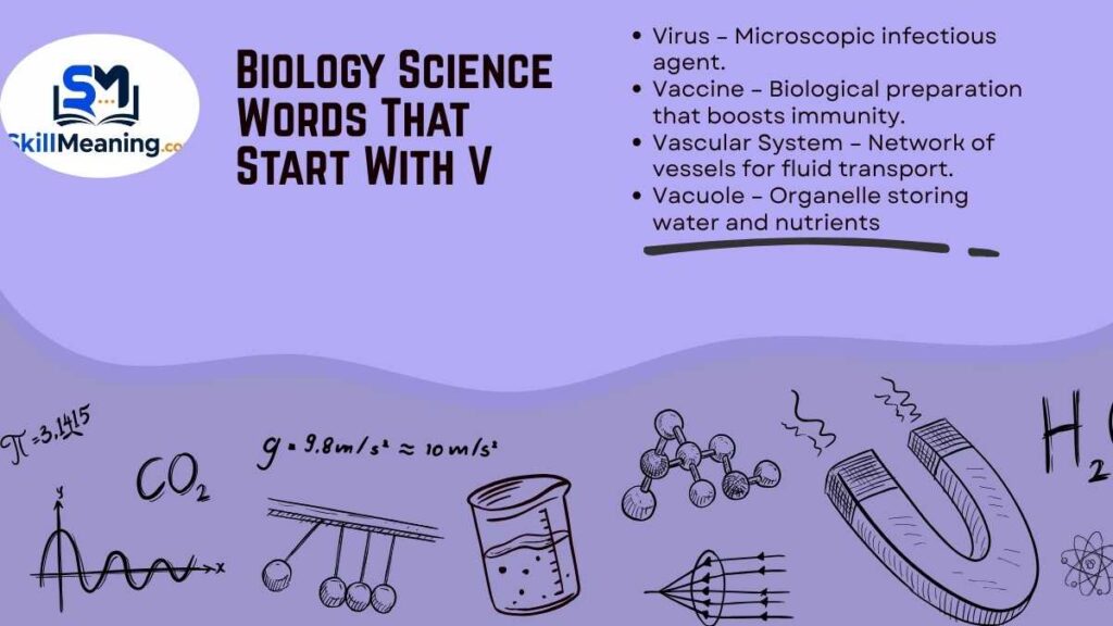 Biology Science Words That Start With V