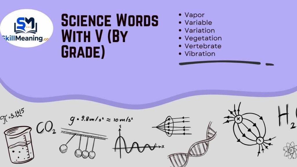 Science Words With V (By Grade)