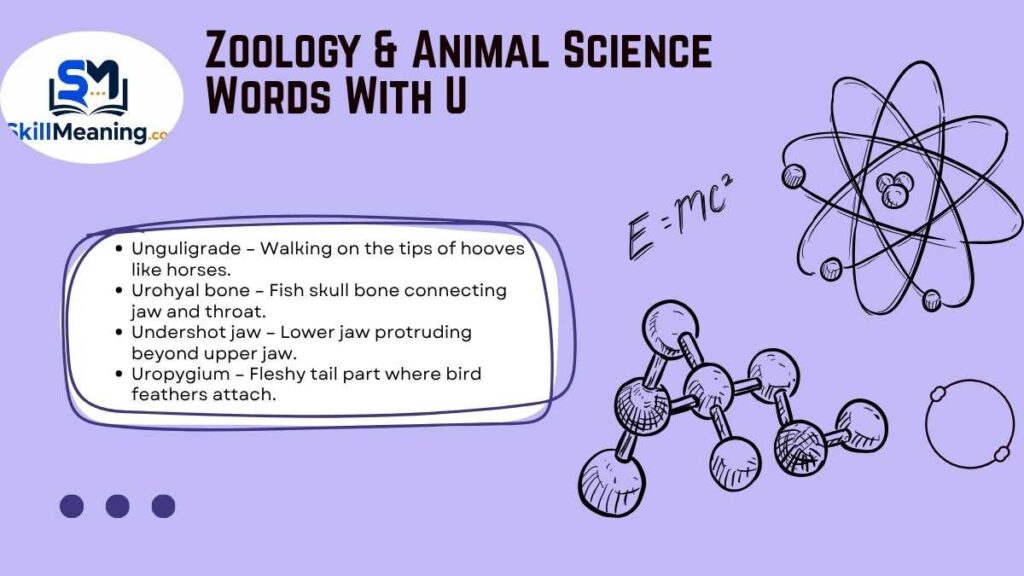 Zoology & Animal Science Words With U