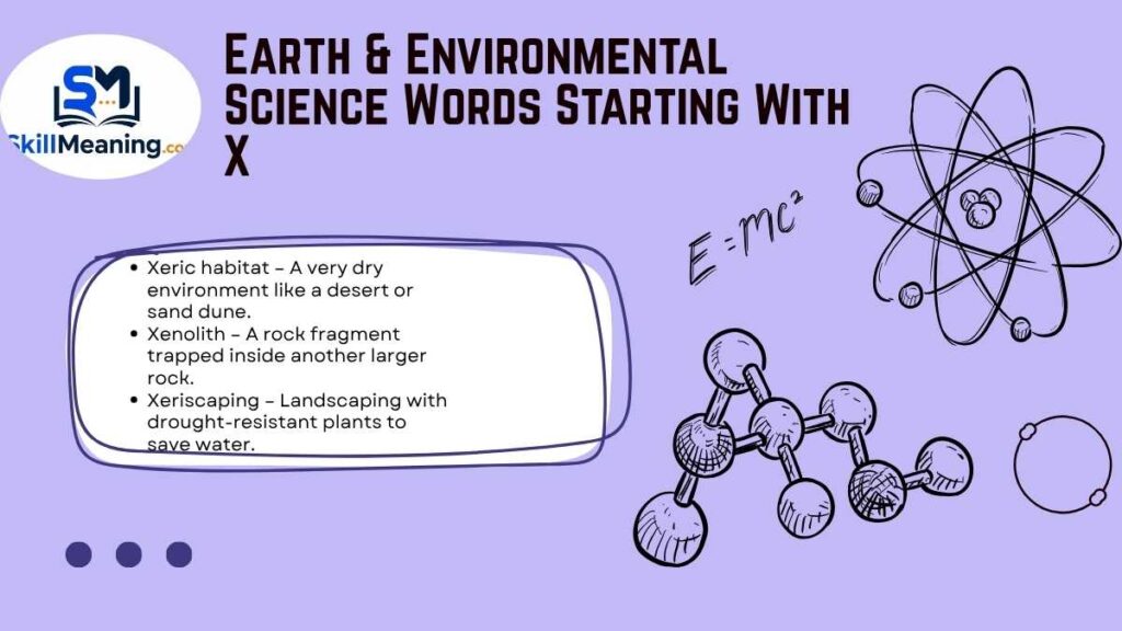 Earth & Environmental Science Words Starting With X
