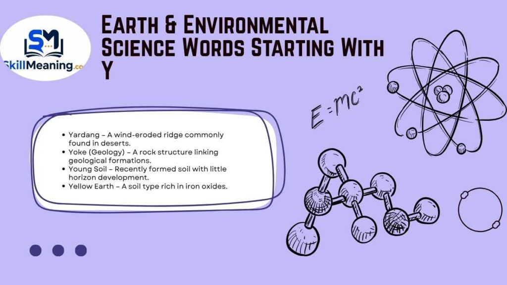 Earth & Environmental Science Words Starting With Y