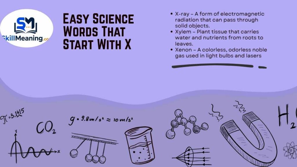 Easy Science Words That Start With X