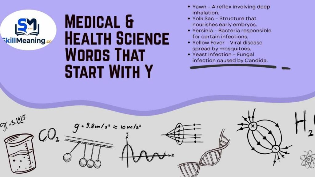 Medical & Health Science Words That Start With Y