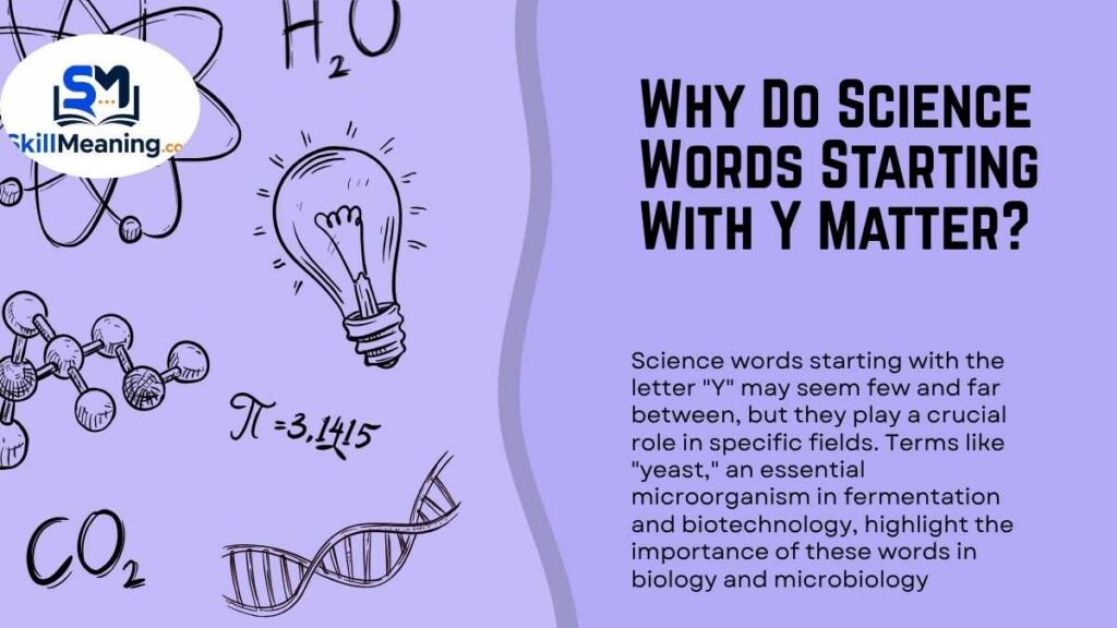 Why Do Science Words Starting With Y Matter