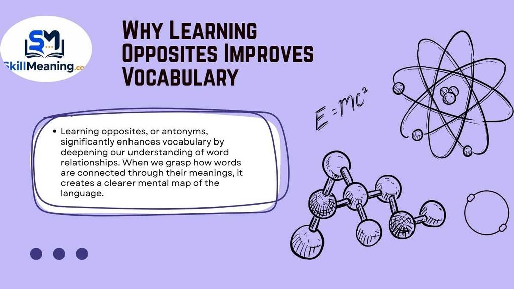 Why Learning Opposites Improves Vocabulary