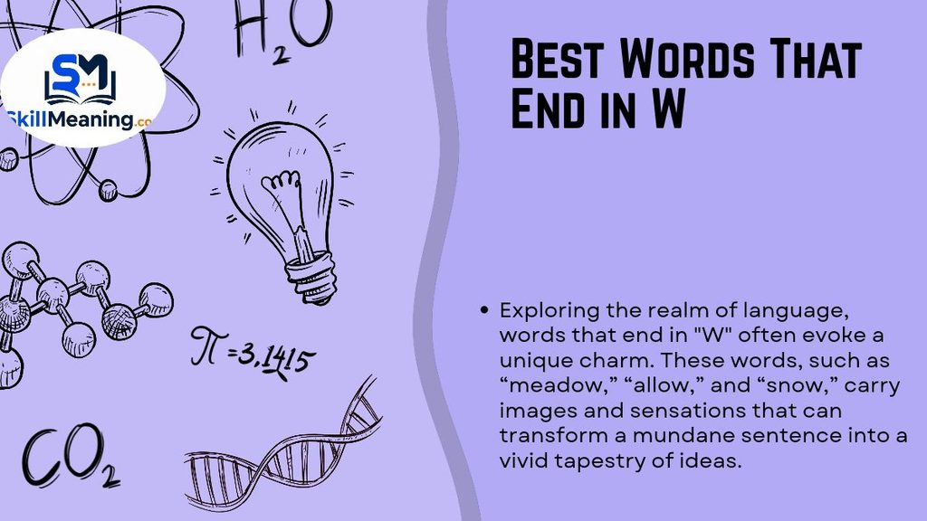 Best Words That End in W
